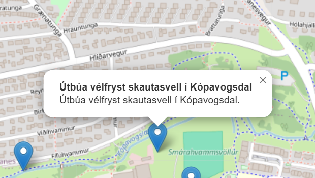 Vélfryst skautasvell í Kópavogsdal